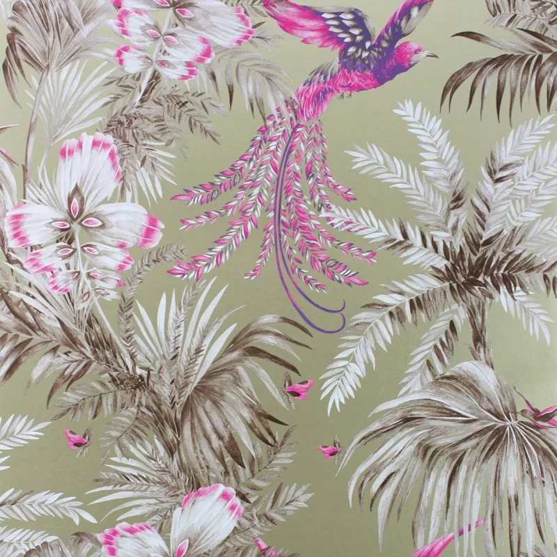 Osborne & Little - Papel pintado Bird of Paradise Osborne & Little.