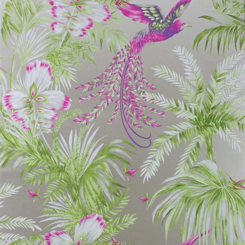 Osborne & Little - Papel pintado Bird of Paradise Osborne & Little.