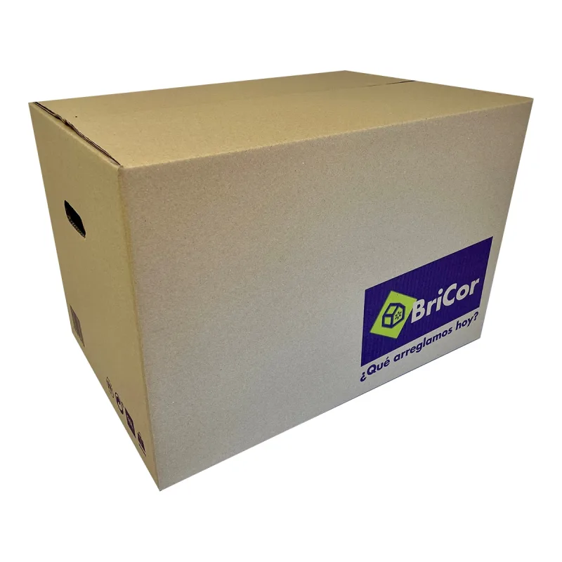 Saica - Caja de Mudanza con Asas 60x40x40 cm - 96 l.