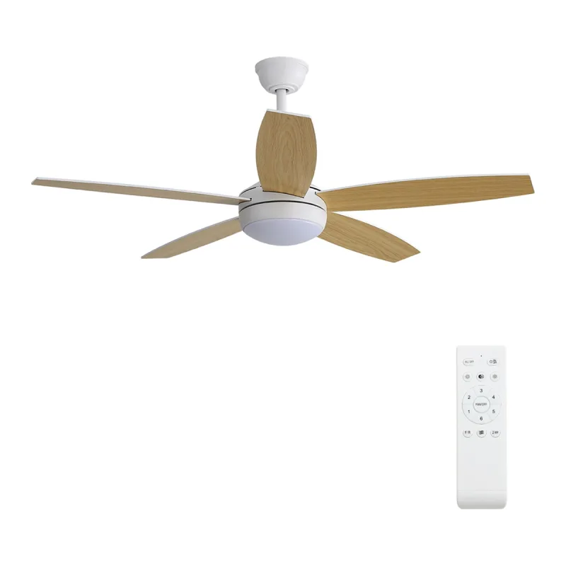 BriCor - Ventilador de Techo 5 Palas con Luz Ø 132 cm 24W ST-CF2404.