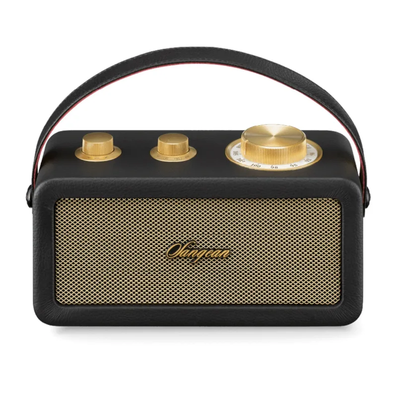 Sangean - Radio portátil Sangean SRA101BG FM, Bluetooth.