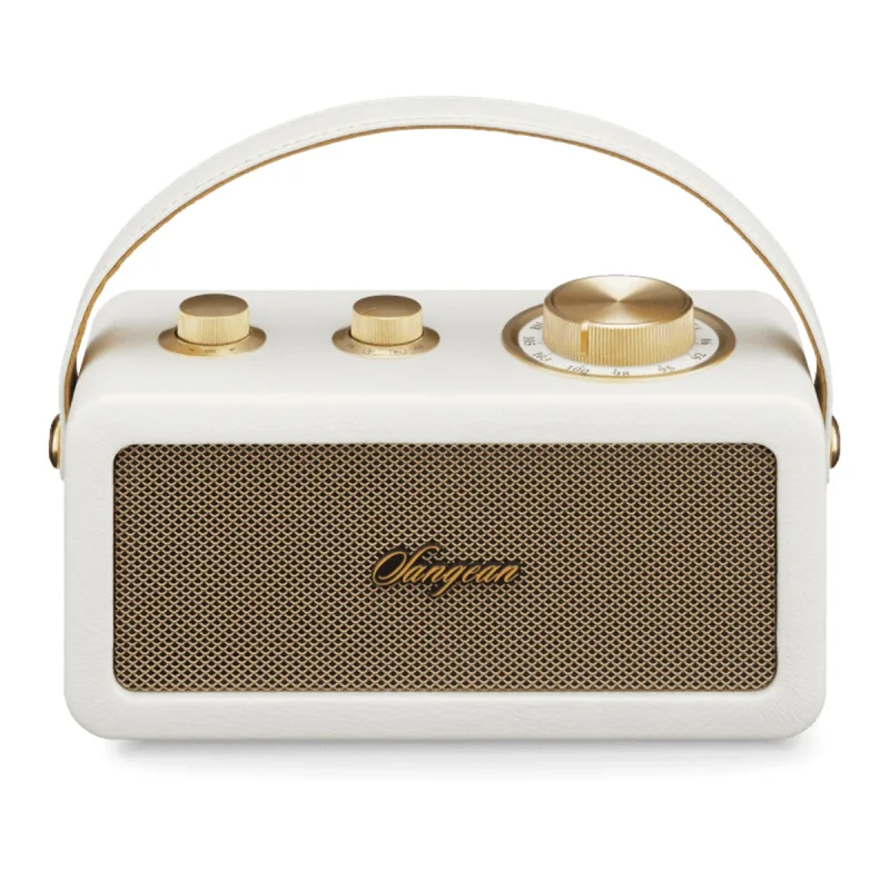 Sangean - Radio portátil Sangean SRA101IG FM, Bluetooth.