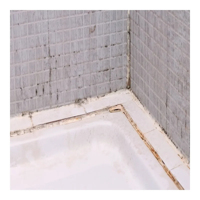 Ceys - Silicona Sellatodo Multiusos 50 ml.