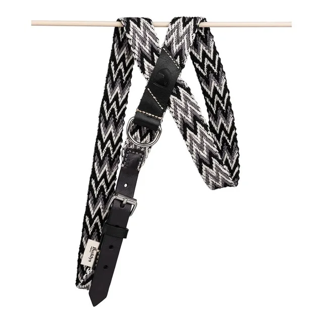 Buddys - Arnés Buddys para perros Peruvian.