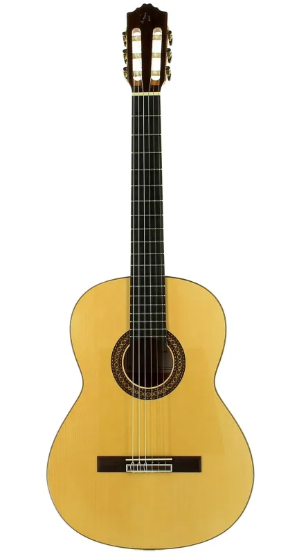 José Torres - Guitarra Flamenca Jose Torres Jtf-50.