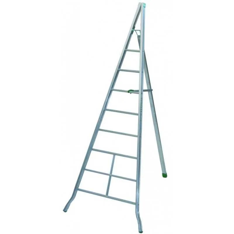 Báscula facal agri ag-200