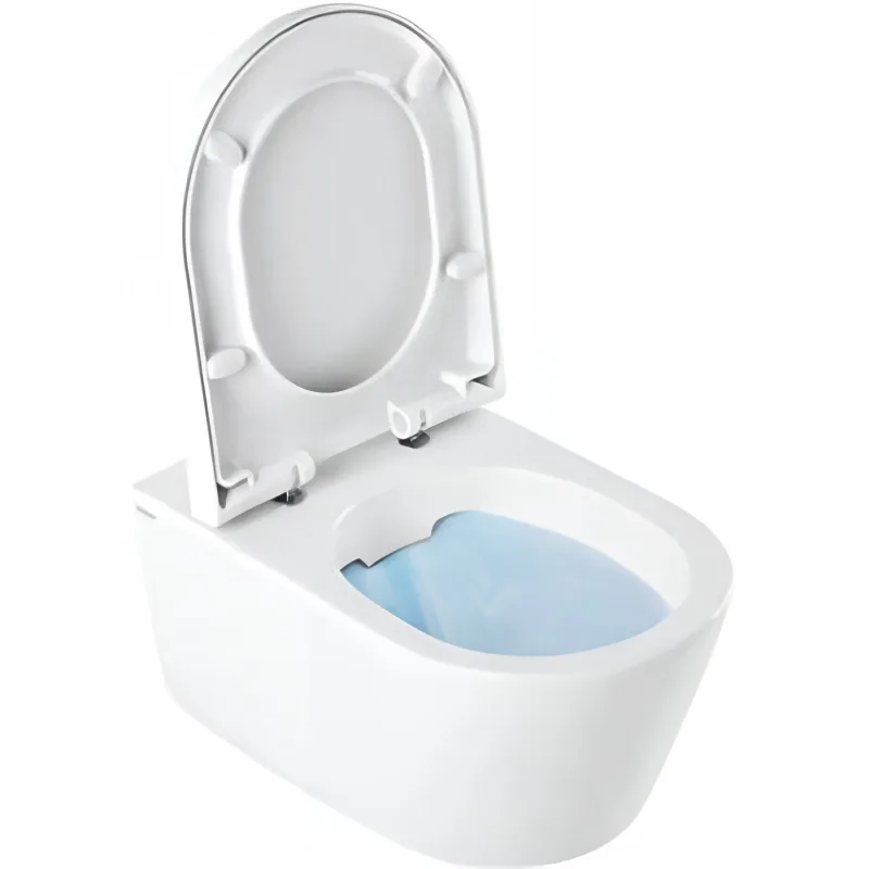 Inodoro suspendido tradicional de cerámica sanindusa urby système d'hygiène rimflush 52 en color blanco con asiento de cierre lento y cierre suave.