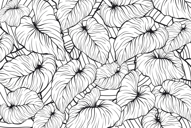 Revestimiento adhesivo mural naturaleza, hojas blanco, negro india de 0.9 x 2.8m