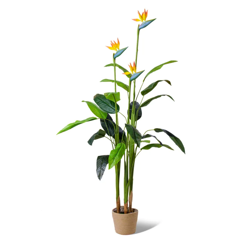 Bird of Paradise - Planta artificial en maceta H160 cm