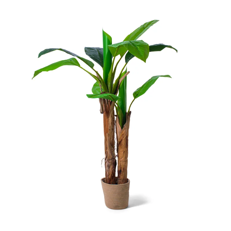 Banana Tree - Planta artificial en maceta H150 cm
