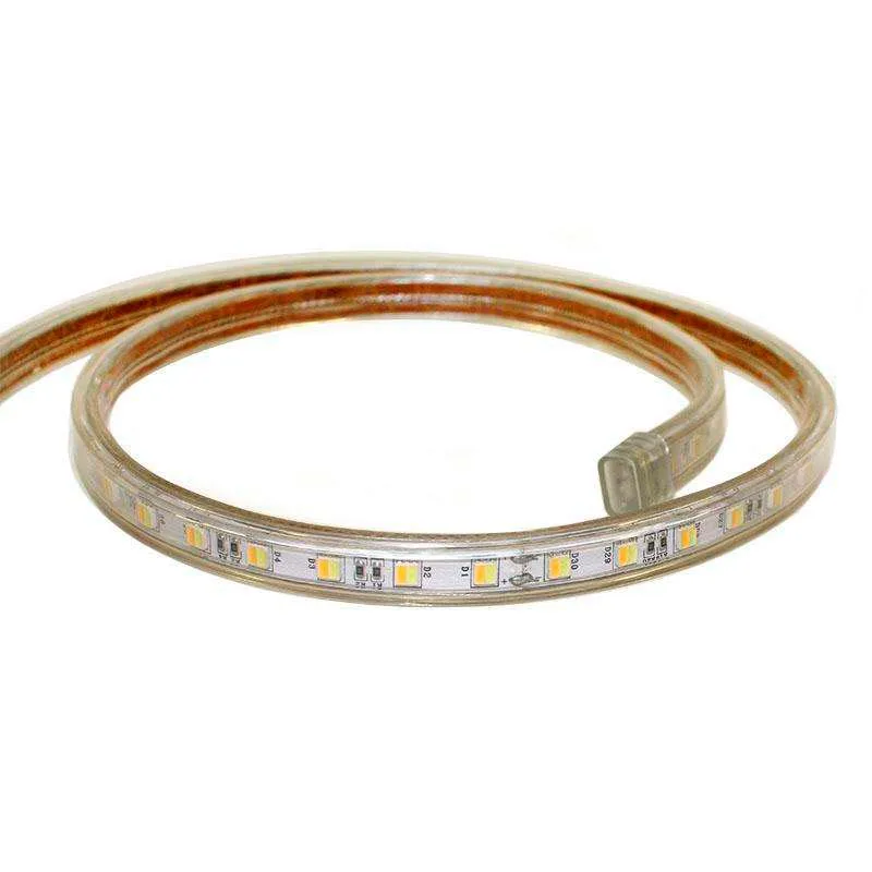 Tira led 220v smd5050 dual 60led/m 12w/m carrete 1 metro blanco dual