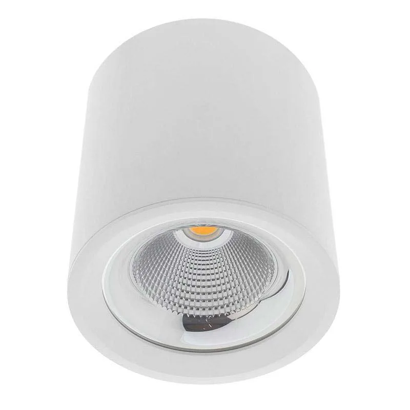 Aplique de techo led fado cree 35w 0-10v regulable blanco frío