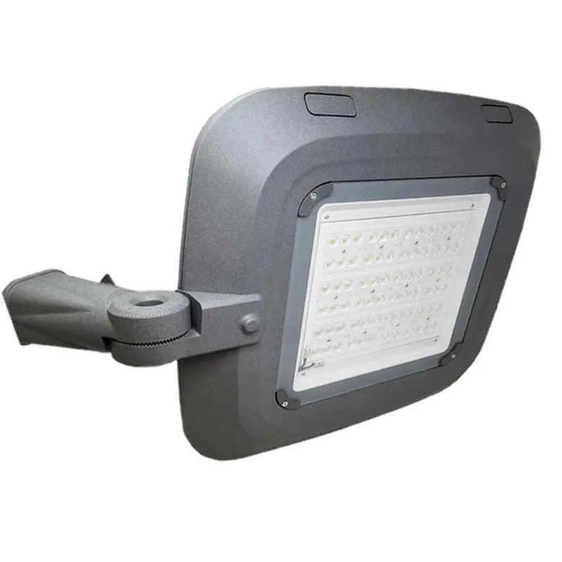 Farola led 10-100w siena driver programable blanco neutro