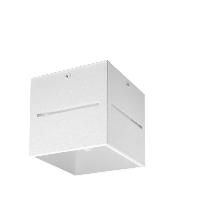 Aplique de techo lobo blanco g9