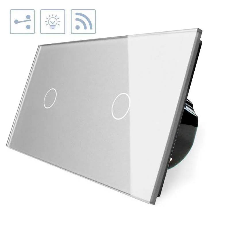 Conmutador táctil + remoto 2 botones frontal gris livolo