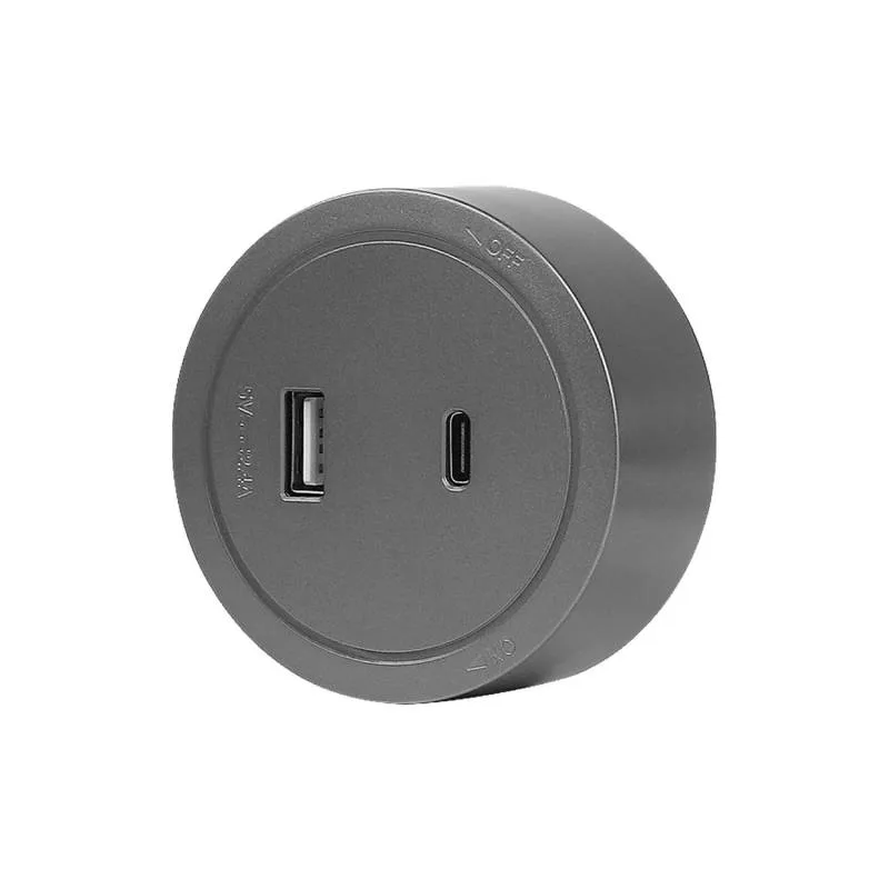 Cargador usb a+b 21a para carril koob gris