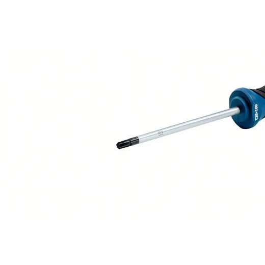 Bosch Professional destornillador Torx TX25 x 100mm