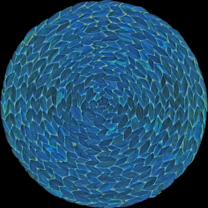 CREATIVE TOPS Juego de 4 Manteles Individuales con Diseño de Jacinto de Agua