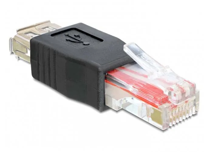 DeLOCK USB - RJ45 USB 2.0 Negro