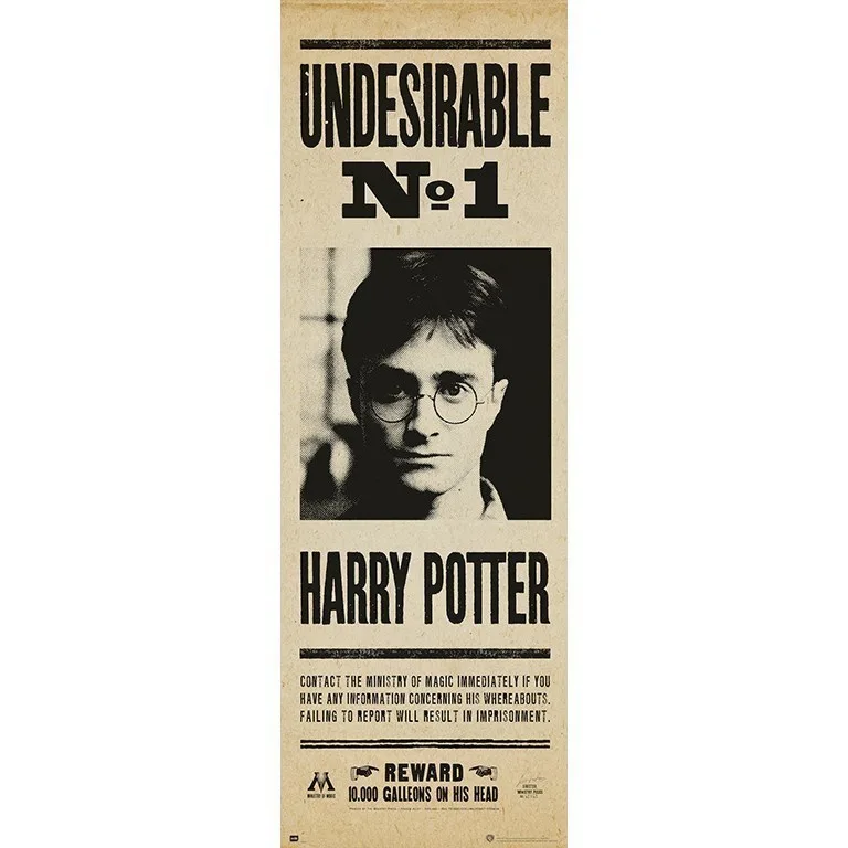 Grupo Erik Poster Puerta Harry Potter Indeseable Nº1