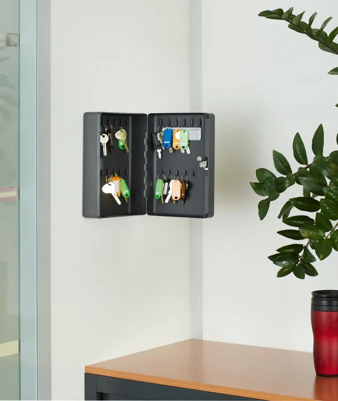 Master Lock KB-25ML Armario [Montaje en Pared] [25 Ganchos] KB-25ML-25 Etiquetas para Llaves, Medium