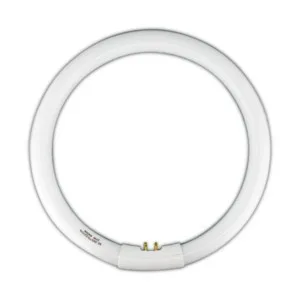 Tubo Fluorescente Circular T9 22W Luz 6500K