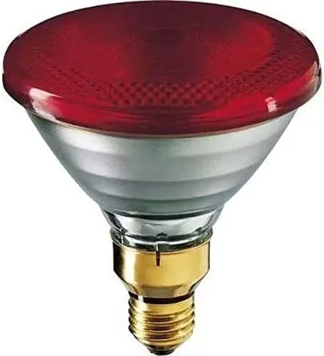 Philips 60052315 Lámpara Reflecto de Infrarrojo, 100W E27 230V Red 1CT/12