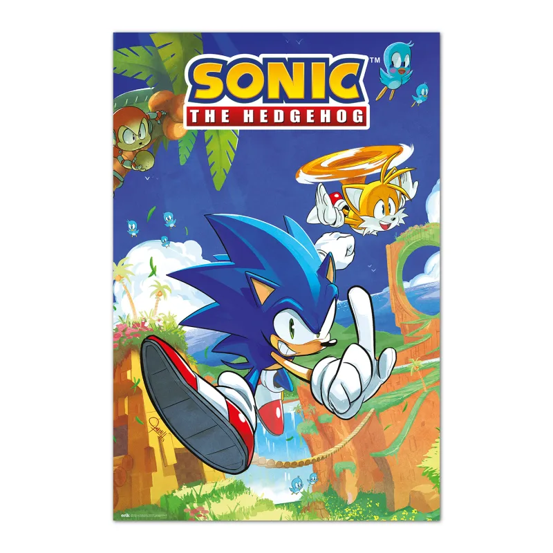 Grupo Erik Póster Sonic The Hedgehog Sonic & Tail - Lamina decorativa Sonic/Póster gamer - Decoración gaming habitación, Decoración Sonic licencia oficial