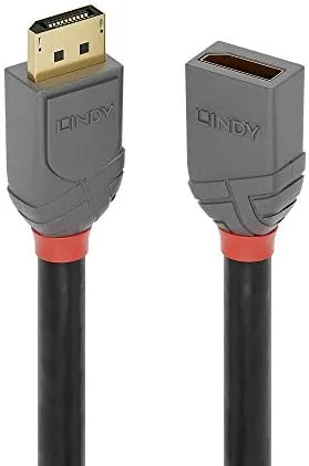 Lindy 36496 cable DisplayPort 1 m Negro