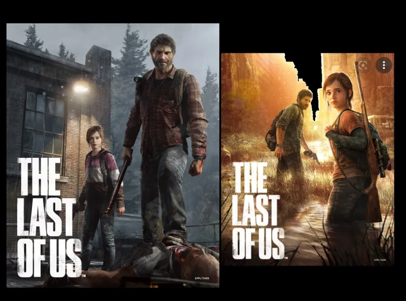Cuadro 3D The Last of Us