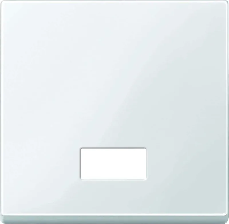 Merten 432819 wippe für schalter. symbolfenster pws system m