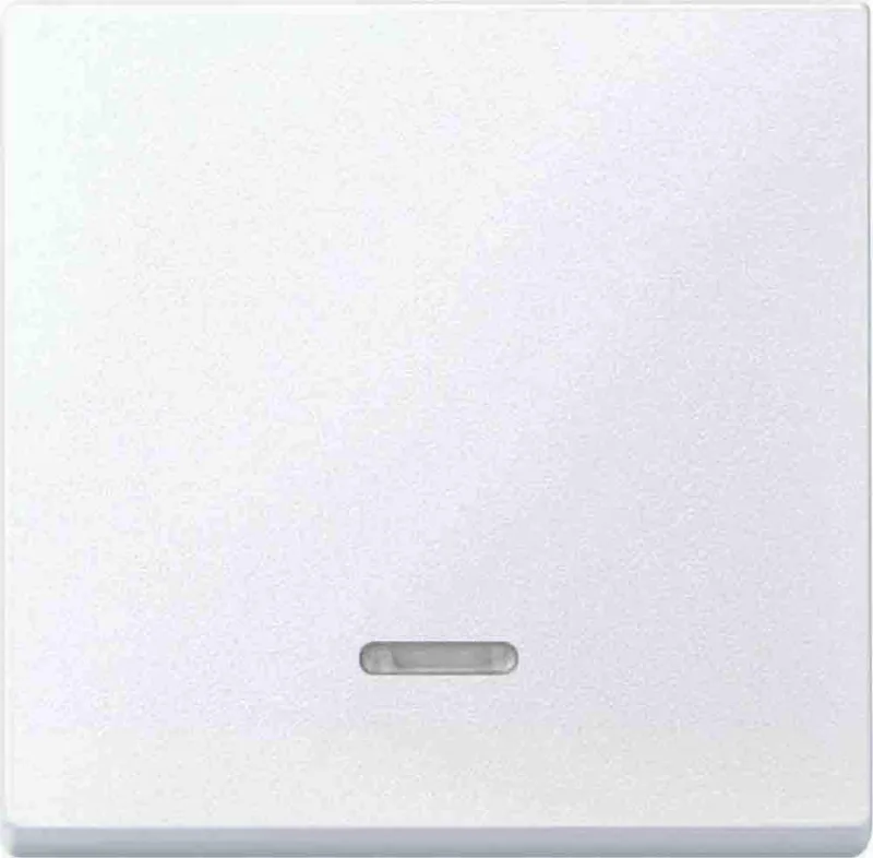 Merten 431019 interruptor de luz Blanco