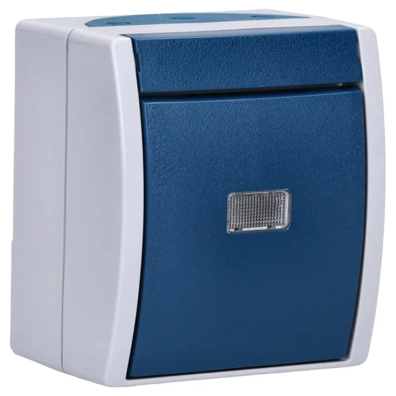 Busch-Jaeger 1484-0-0371 interruptor de luz Azul, Gris