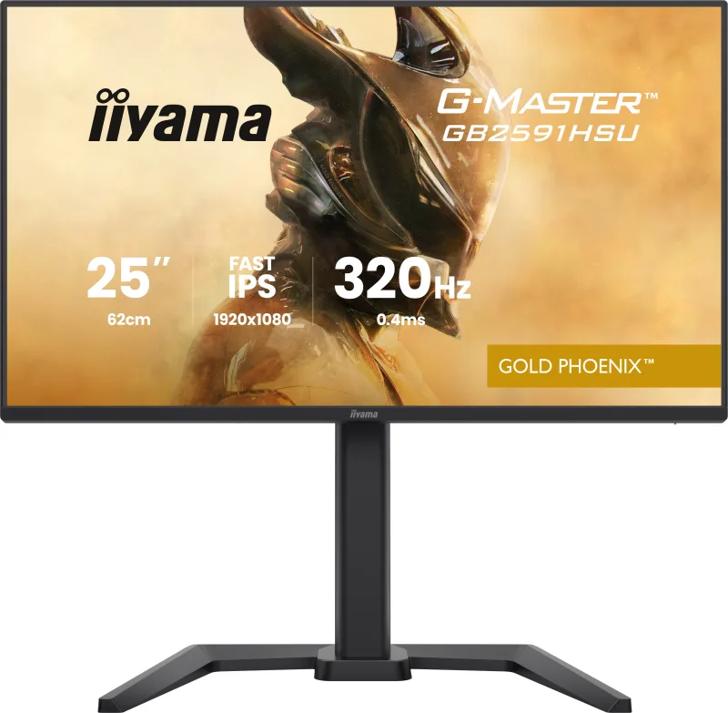 iiyama G-MASTER GB2591HSU-B1 pantalla para PC 62,2 cm (24.5") 1920 x 1080 Pixeles Full HD LED Negro