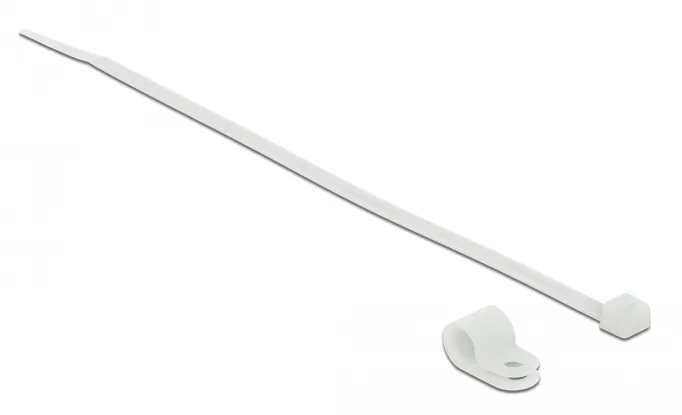 DeLOCK 18865 presilla Brida atornillada Nylon Blanco 10 pieza(s)