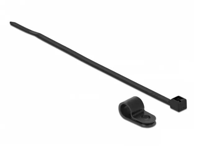 DeLOCK 18866 presilla Brida atornillada Nylon Negro 10 pieza(s)