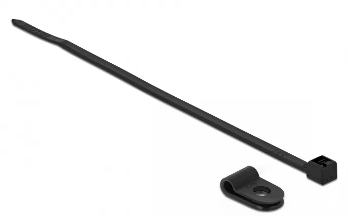 DeLOCK 18860 presilla Nylon Negro 10 pieza(s)