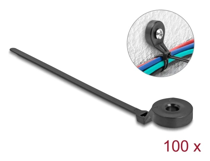 DeLOCK 18915 presilla Brida atornillada Nylon Negro 100 pieza(s)