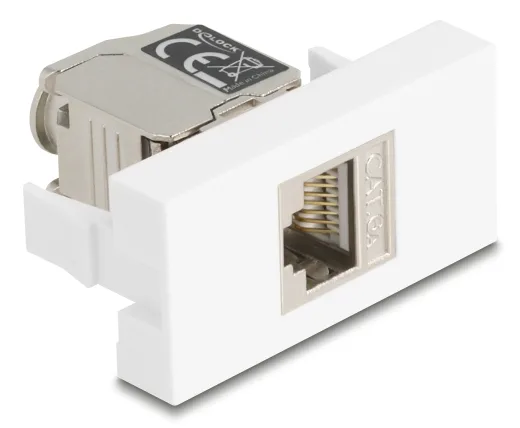 DeLOCK 90904 toma de corriente RJ-45 Plata, Blanco