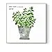 Pintado a mano acuarela flores planta póster impresiones decoración nórdica arte lienzo pintura cuadro de pared para imprimir en lienzo-50x50cm sin marco