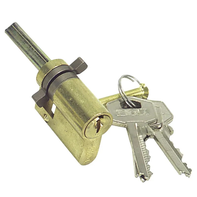 Tesa Assa Abloy,552000LT,Cilindro de Seguridad Estándar TE5, Perfíl Ovalado,Niquelado