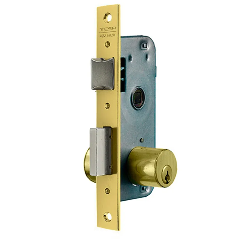Tesa Assa Abloy 200050HL Cerradura De Embutir Para Puertas De Madera Bronce (Latonado) Entrada 50 mm 2000
