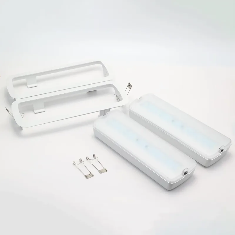 ALPINALUZ Pack de 2 Luz de Emergencia LED 3W 265lm Autonomia 3h Empotrable o Superficie emergencias leds seguridad