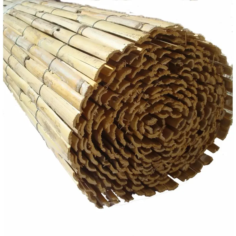 Cañizo Nacional de Media caña, Varias Medidas Thayba