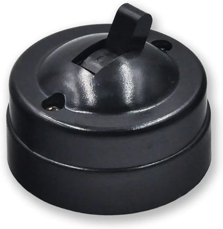 Interruptor de pared retro – interruptor de palanca plano, estilo antiguo, para casa u hotel