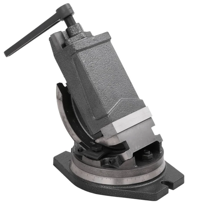 Tornillo de banco basculante de 2 ejes 100 mm vidaxl