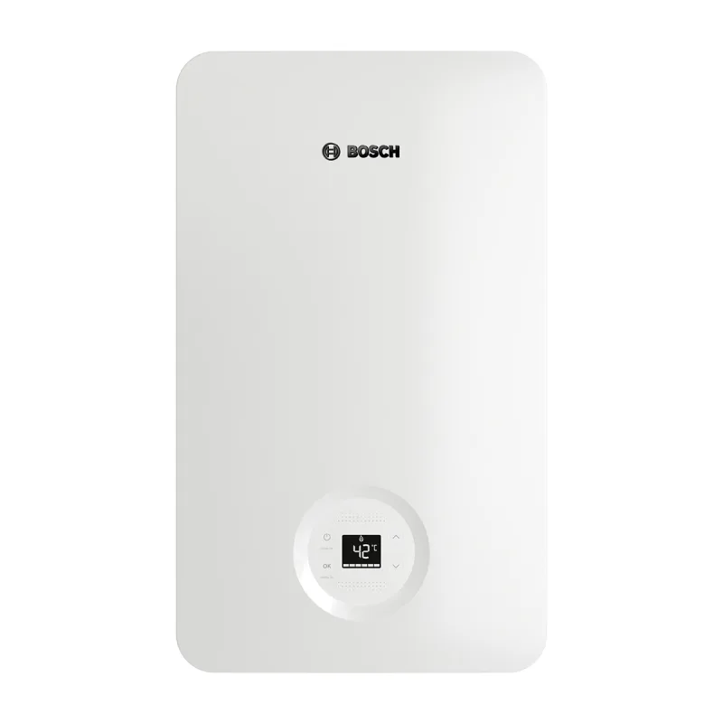 Bosch - Calentador Bosch 6600 17 31 60 B de Gas Butano.