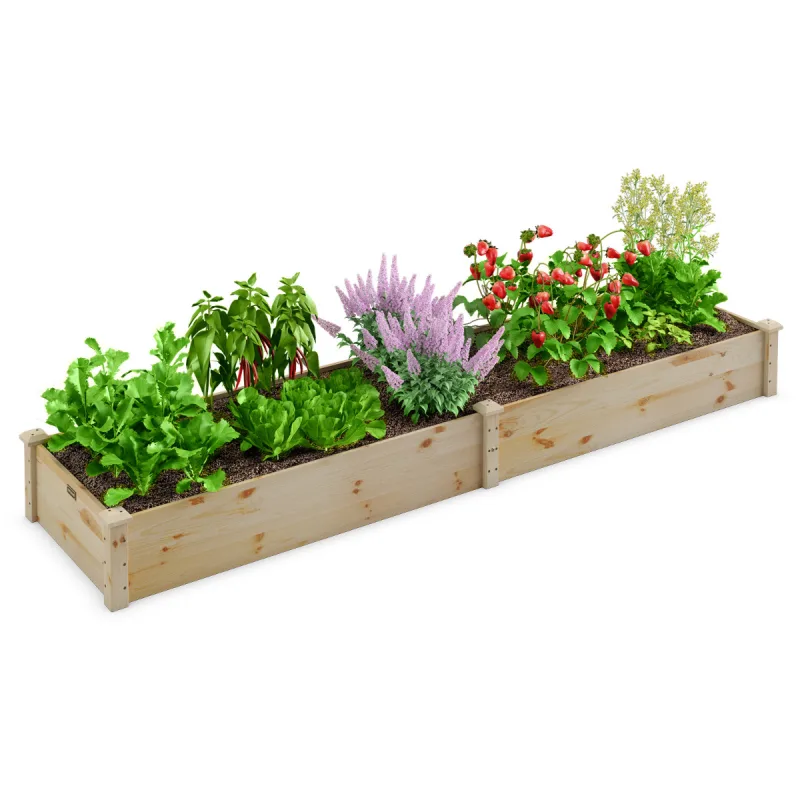 Costway Cama de Jardín Elevada de Madera Caja de Plantas para Verduras Flores Hierbas Frutas Maceta Elevada para Patio Césped 240 x 60 x 25 cm