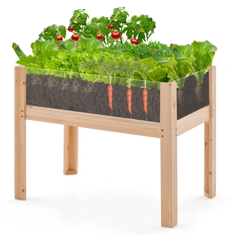 Costway Jardinera Elevada de Madera con Patas Agujeros de Drenaje y Paneles Acrílicos Cama para Frutas y Verduras Natural