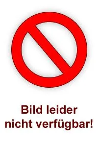 Homematic IP Smart Home 151694A0 - Sensor de Agua para Alarma fiable Mediante Sirena y notificación Push en la aplicación del Smartphone en Caso de Humedad y Agua